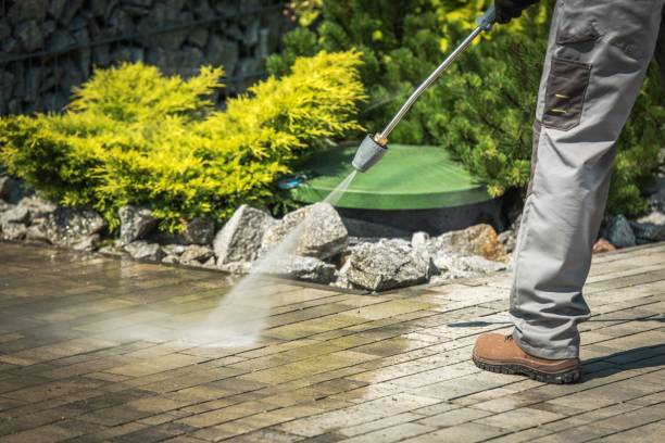 Best Dumpster Area Cleaning  in Lake Delta, NY